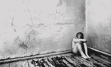 the humanity project